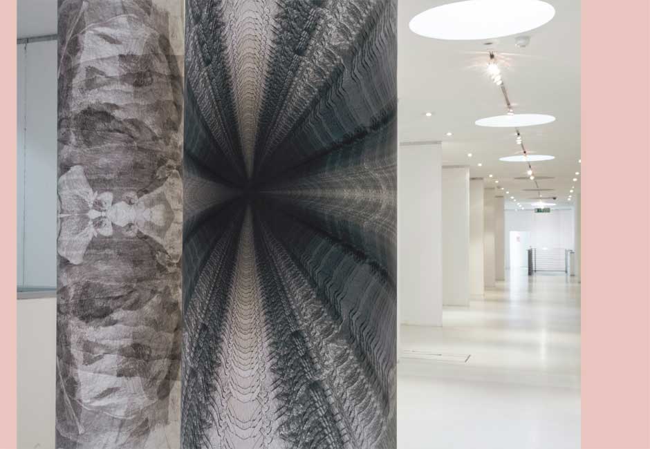 doge-columns-zoom-pink-web1