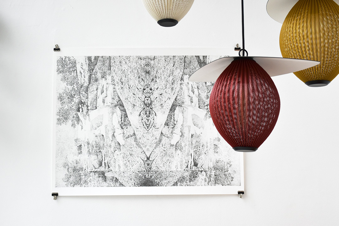 kissthedesign-noemie-doge-fourmi